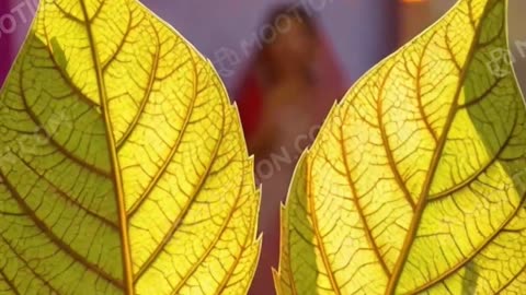 Bhakti gyan