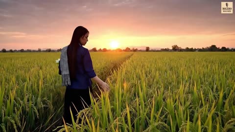 Cung Đàn Lệ ‐ Bolero Hoài Niệm (Official music video)