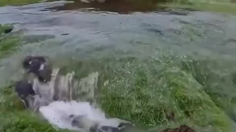 The truth about water on earth...