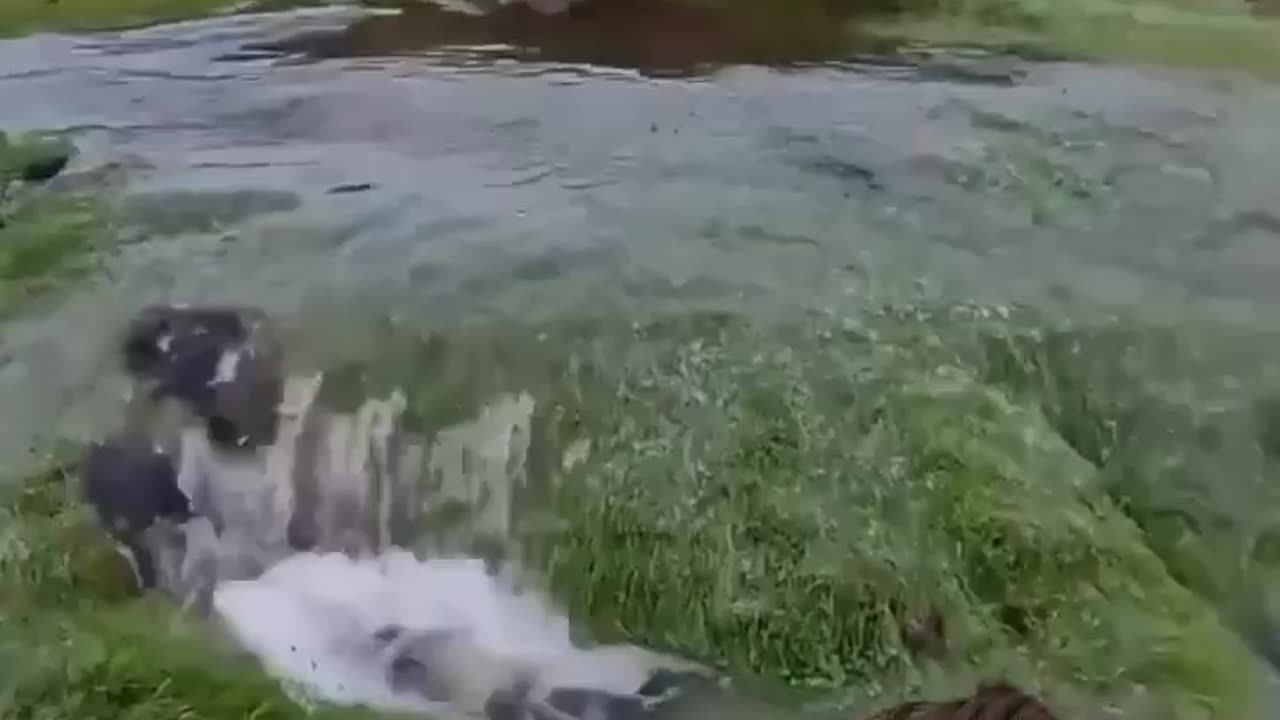 The truth about water on earth...