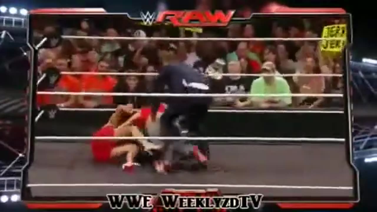 Jerry springer the bella twins segment