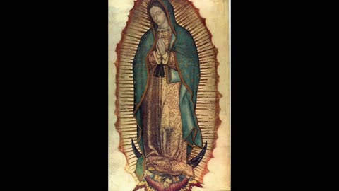 Our Lady of Guadalupe 1531