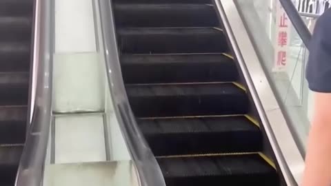 An adorable puppy on the escalator!.hd