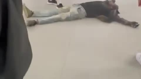 Portugal: Coudenhove Kalergi importee sets himself and a security guard on fire..