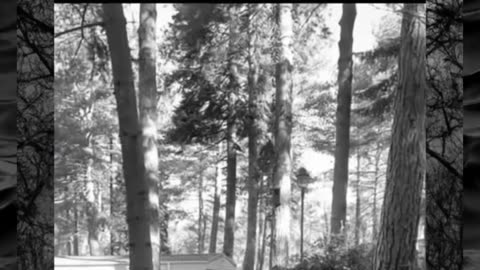 😱👻 The Scariest Ghost Sighting I've Ever Seen! | TheHauntingHour