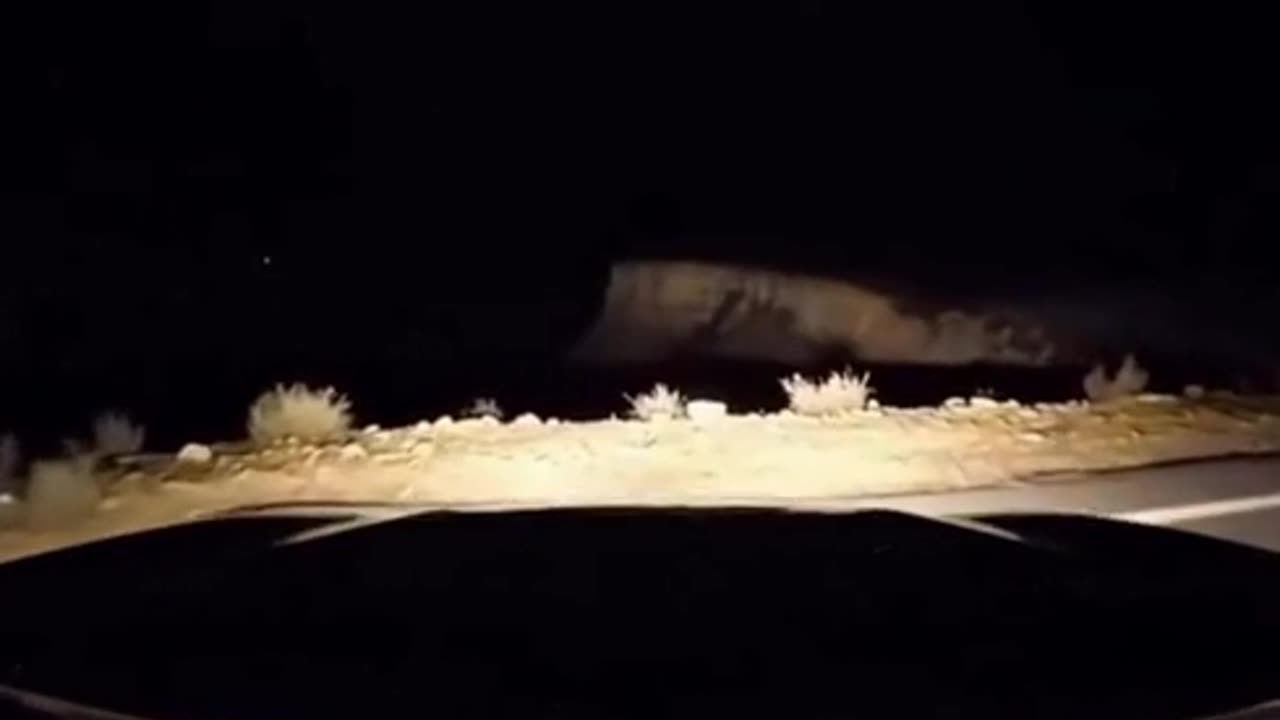 🥶✨ Unbelievable Close Call: Bird Saves the Day! | FeedMyCuriosity