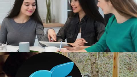 OnlyFans Creator Accounts
