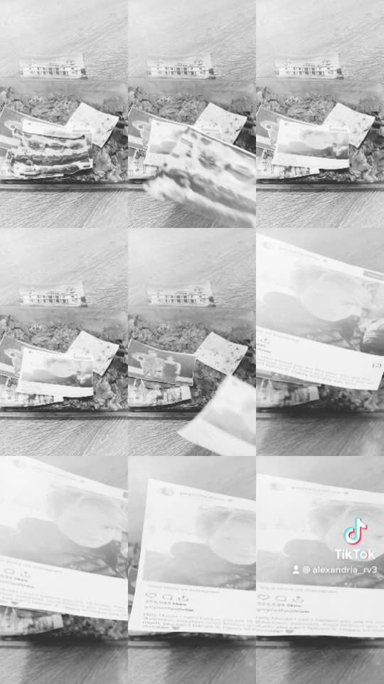 Tim Rifat TikTok Videos