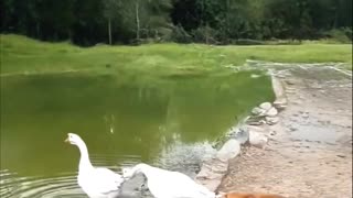 This is not funny hehehhehe