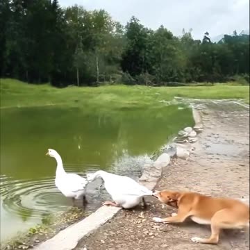 This is not funny hehehhehe