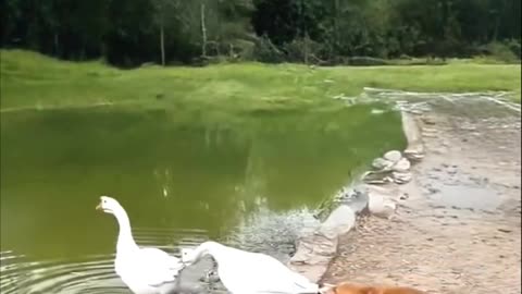 This is not funny hehehhehe