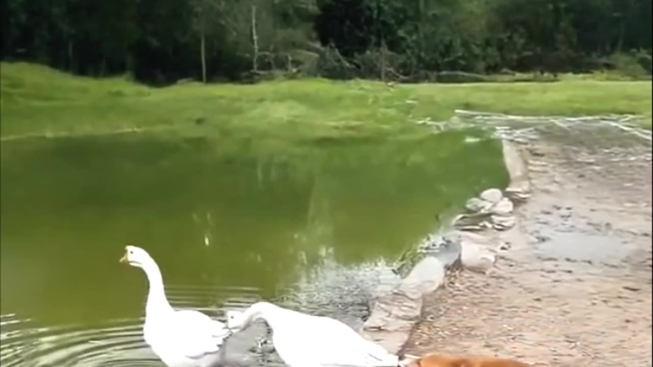 This is not funny hehehhehe