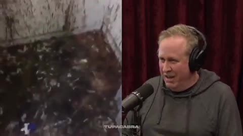 Hollywood legend, Roger Avary tells Joe Rogan about the predictive programing
