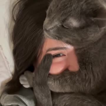 You are truly adored 🤣