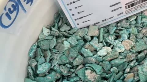 20250711-7 Turquoise Rough: Color Blind Box Chip Hidden by Earth