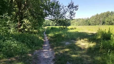 idę sobie ...