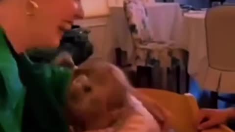 Viral Funny Baby Videos