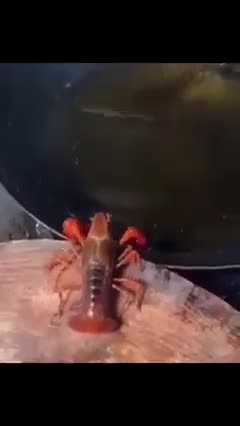 May your Assailants destroy themselves by themselves