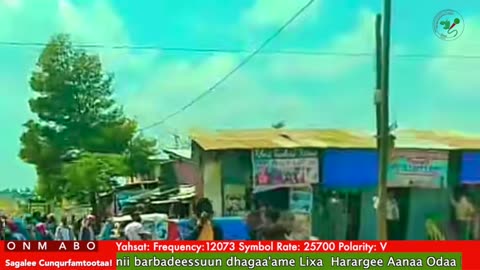 Oduu Waaree ONM-ABO Sadaasa 4-2025 itti dhiyaadhaa!