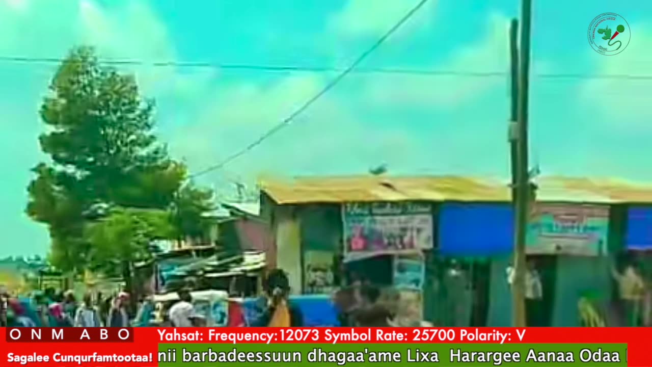 Oduu Waaree ONM-ABO Sadaasa 4-2025 itti dhiyaadhaa!