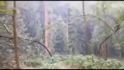 He reached the END of the forest.. and everything changed 😳