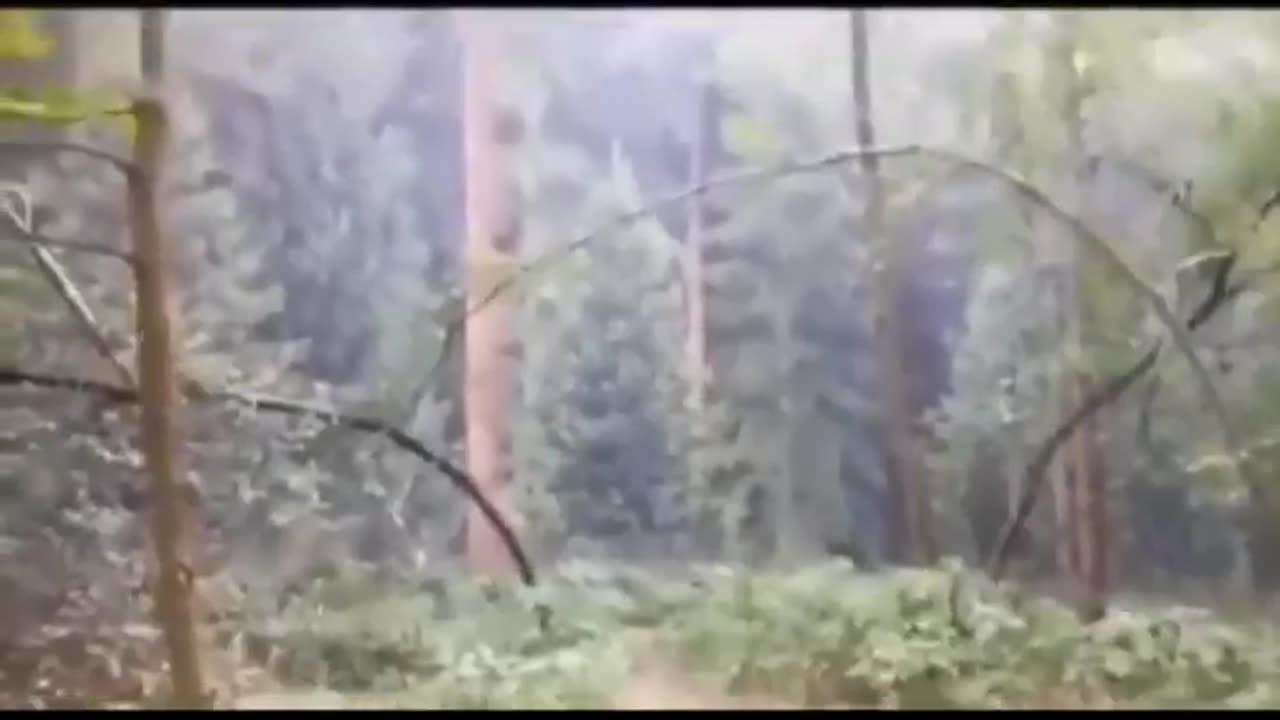 He reached the END of the forest.. and everything changed 😳