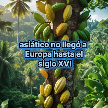 ¿Cómo se llama el árbol que produce el cacao?