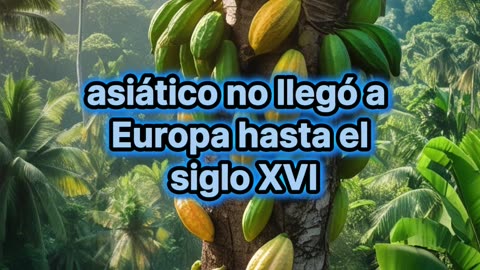 ¿Cómo se llama el árbol que produce el cacao?