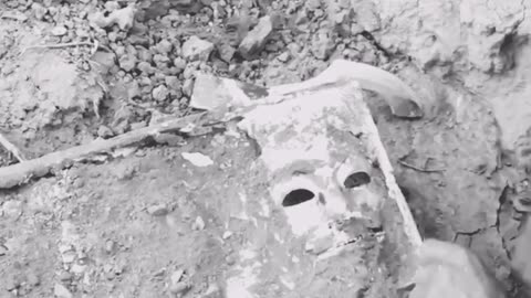 An ancient idol-like treasure hidden in ruins was foundin the Americas Forest