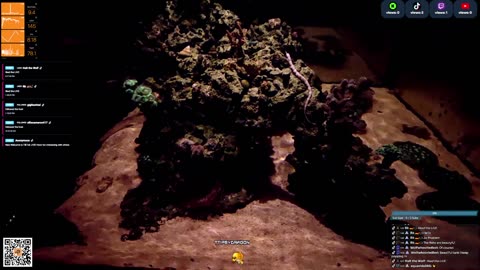 24/7 Real Live Reef Stream