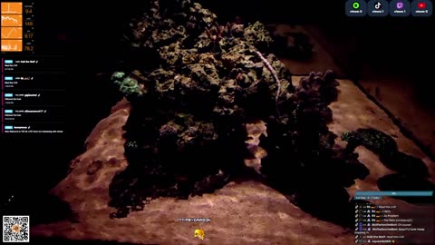 24/7 Real Live Reef Stream