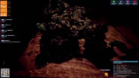 24/7 Real Live Reef Stream