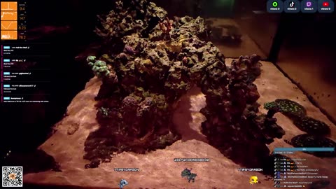 24/7 Real Live Reef Stream