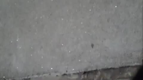 Sparkly cement