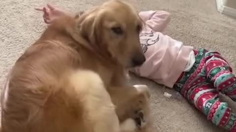 DISABLED GIRL & HER FAITHFUL😘 DOG