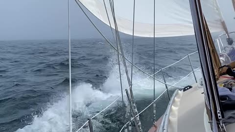 Sailing Across Lake Huron in Stronger Conditions in June, ‘25 #sailing #lakecruise #greatlakes