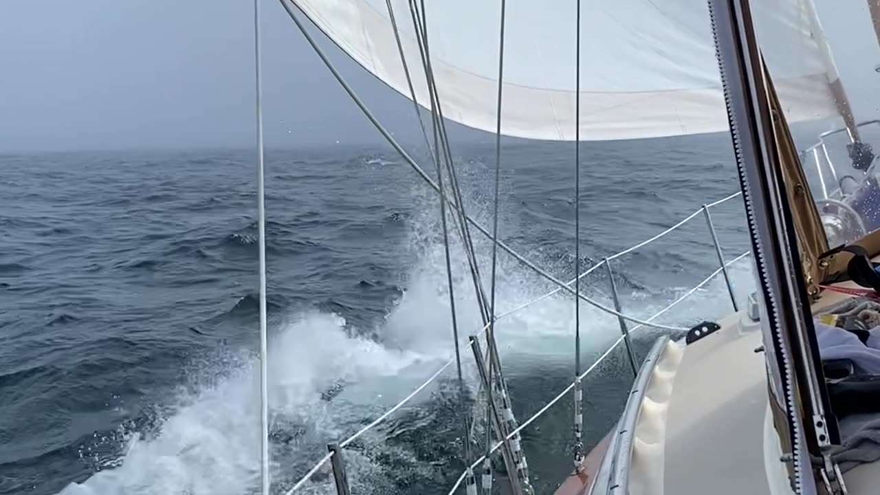 Sailing Across Lake Huron in Stronger Conditions in June, ‘25 #sailing #lakecruise #greatlakes