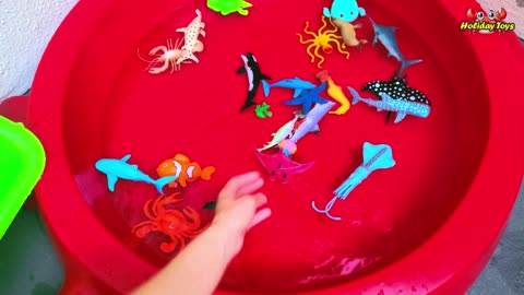 Lobsters Go Into Holes to Avoid Hungry Turtles