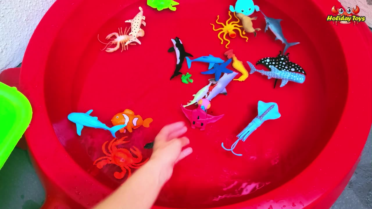 Lobsters Go Into Holes to Avoid Hungry Turtles