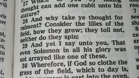 Jesus is MY TREASURE! MY GOD! Don't forget! To all prosperity preachers!