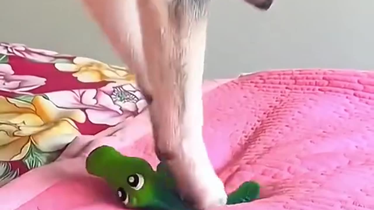 GoofyFloof