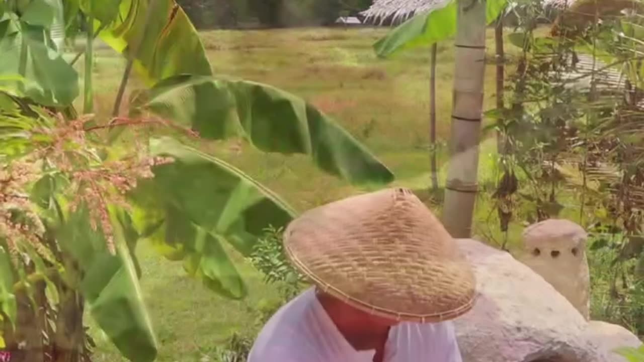 Dragon Fruit