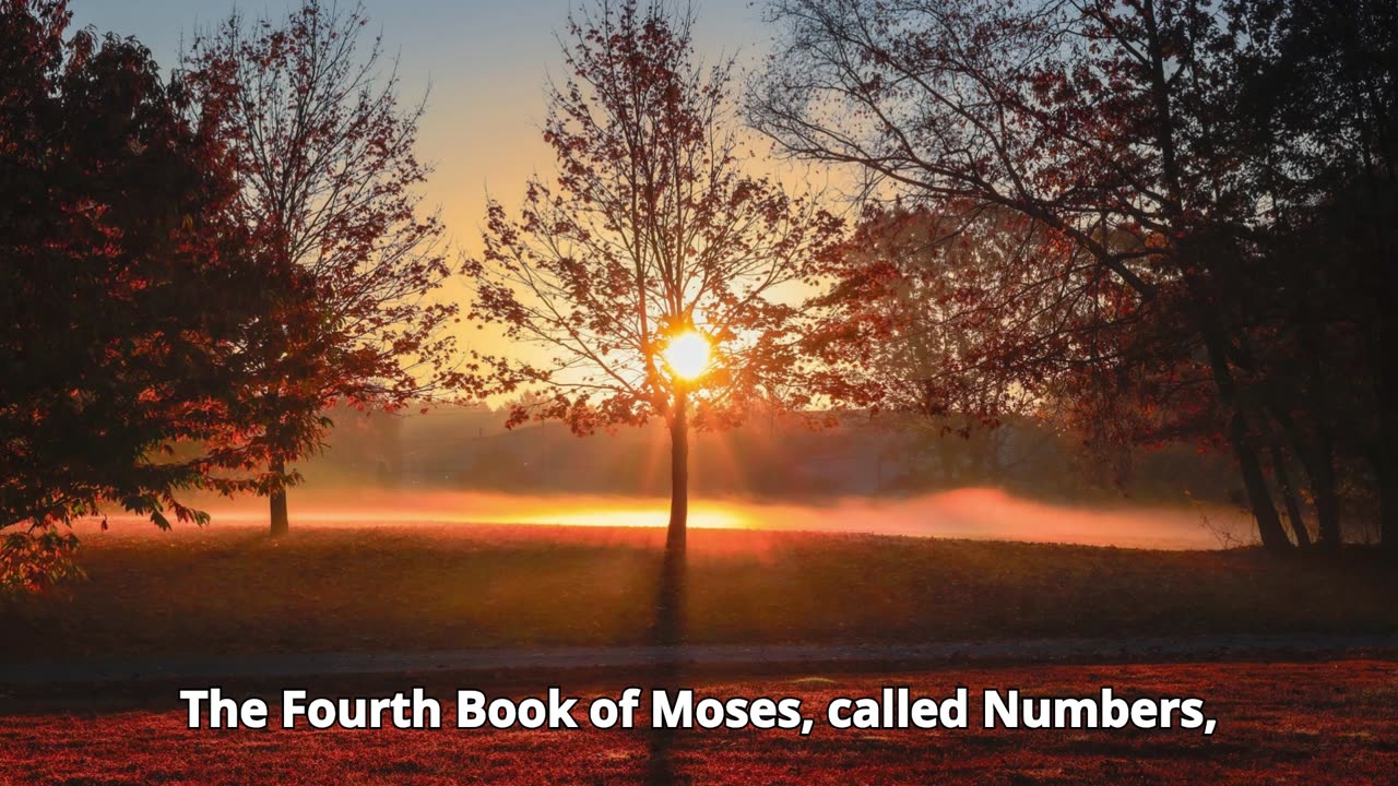 Numbers Chapter 16