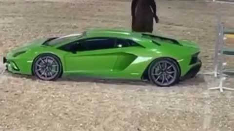 ✨💭 What Do You Think of This Luxury Car? | LuxurySportsCars