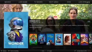 COMPLETE KODI 17.6 BUILD IN 2018 UPDATED