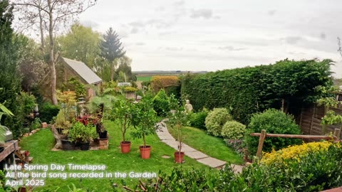 Timelapse garden view and nature sounds