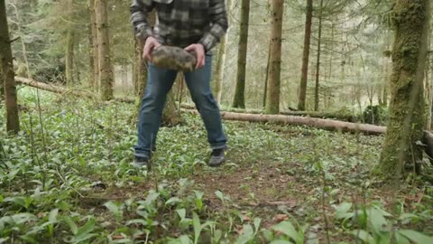 Cooking Whole Chicken in Salt and Fire in Nature