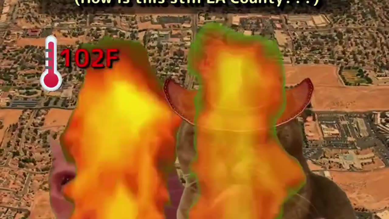 POV all over California 🐈‍⬛ 🤣