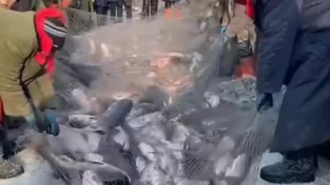 Strange Fishing