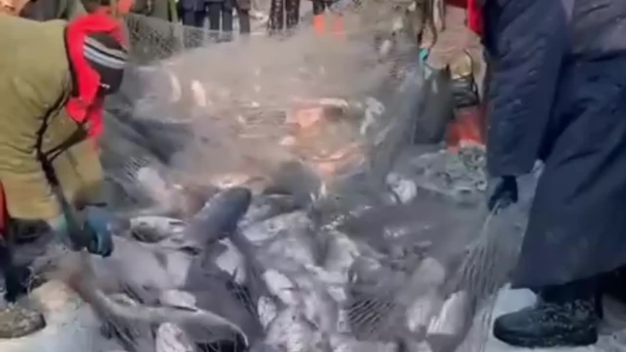 Strange Fishing